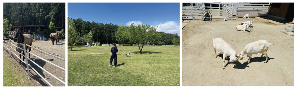 スクリーンショット 2026-05-28 17.03.22